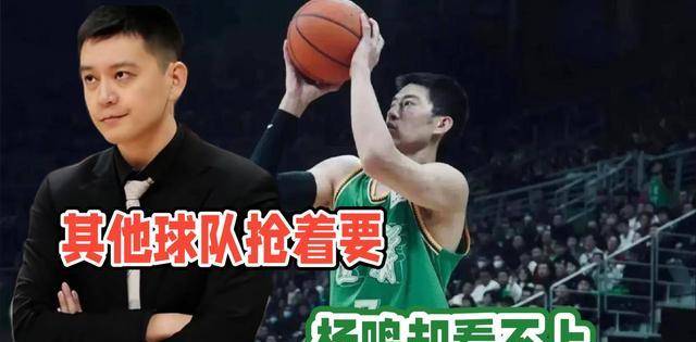 原创赵睿缺席季后赛辽宁少一个对手王牌前锋抢着要杨鸣看不上