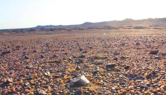 内蒙古干涸湖布满"五彩石",无人识货遭外人哄抢,三年损失20亿_玛瑙_石