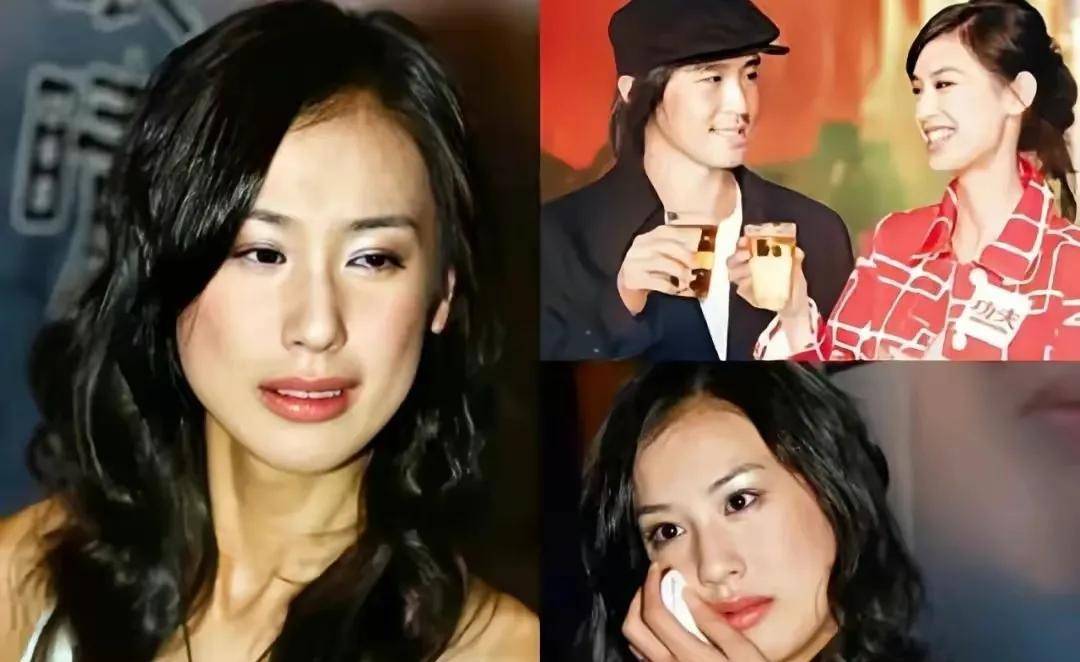 原创杨海润爸爸是杨子妈妈是陶虹我是毕业于哈佛大学的高材生