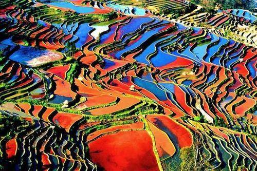 云南旅游十大景点排行榜2024年去云南旅游必去十大热门景点推荐