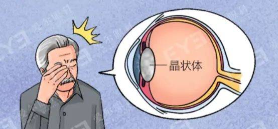 机能会渐渐退化而人在步入中年以后正常眼球内的晶状体是透明的眼睛的