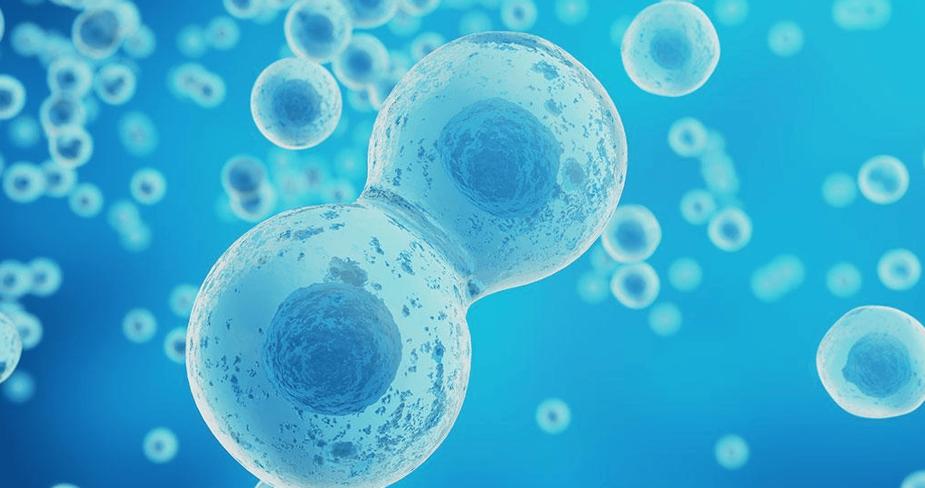 恩次方全民防癌中心的干细胞治疗心肌梗死_患者_心脏_疾病