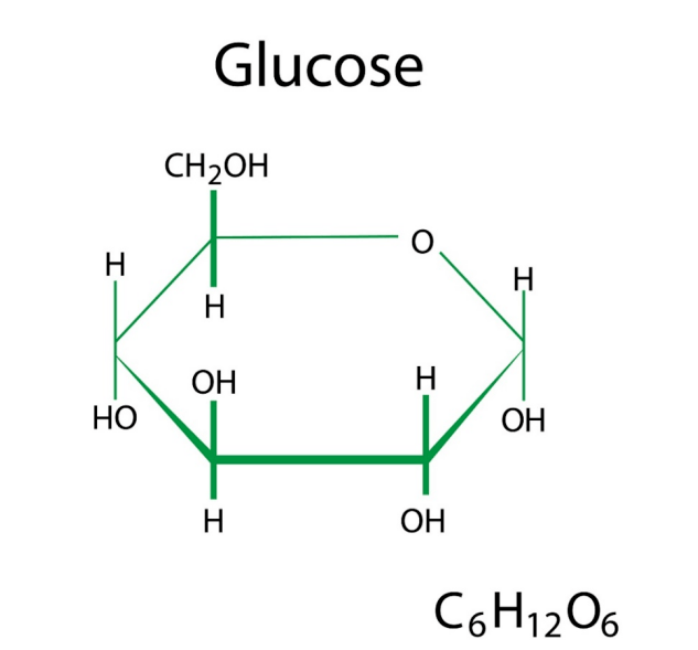 甲基五碳糖结构图图片