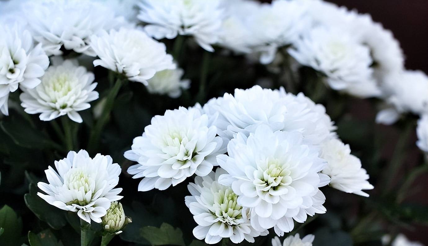 原创原创诗词柏荣生小桥栏外晓清晖春正事向花飞燕归梁23首