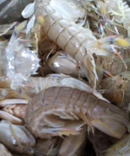 清水_微量元素_维生素