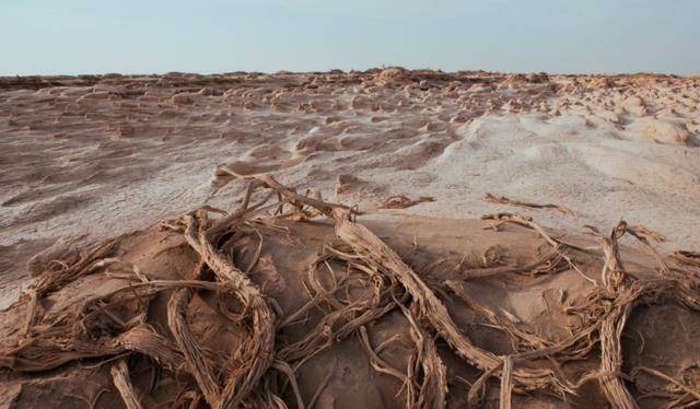 偶然还是必然?1996年6月,徒步探险家余纯顺命丧罗布泊