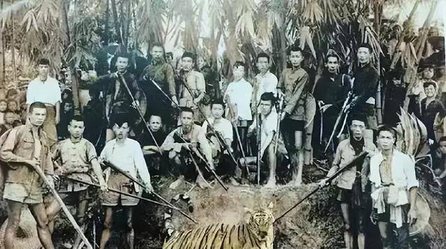 原创湖南人民打虎记打虎队用枪支扫射百虎围村三天三夜