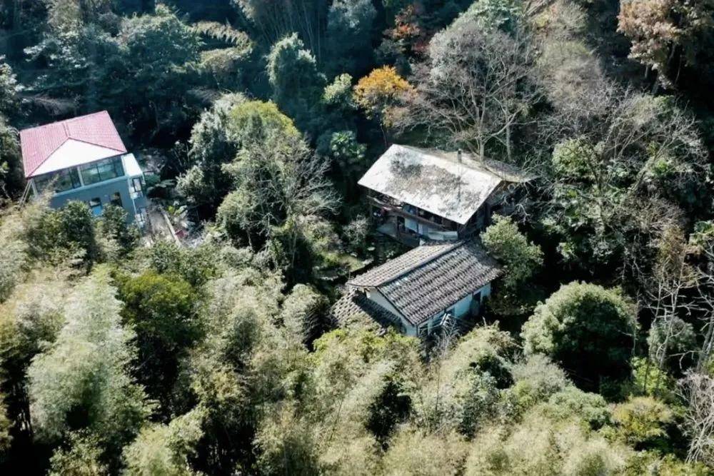 8个年轻人福建深山隐居避世,不愁钱不够花,尝试孕育下一代_生活_山林