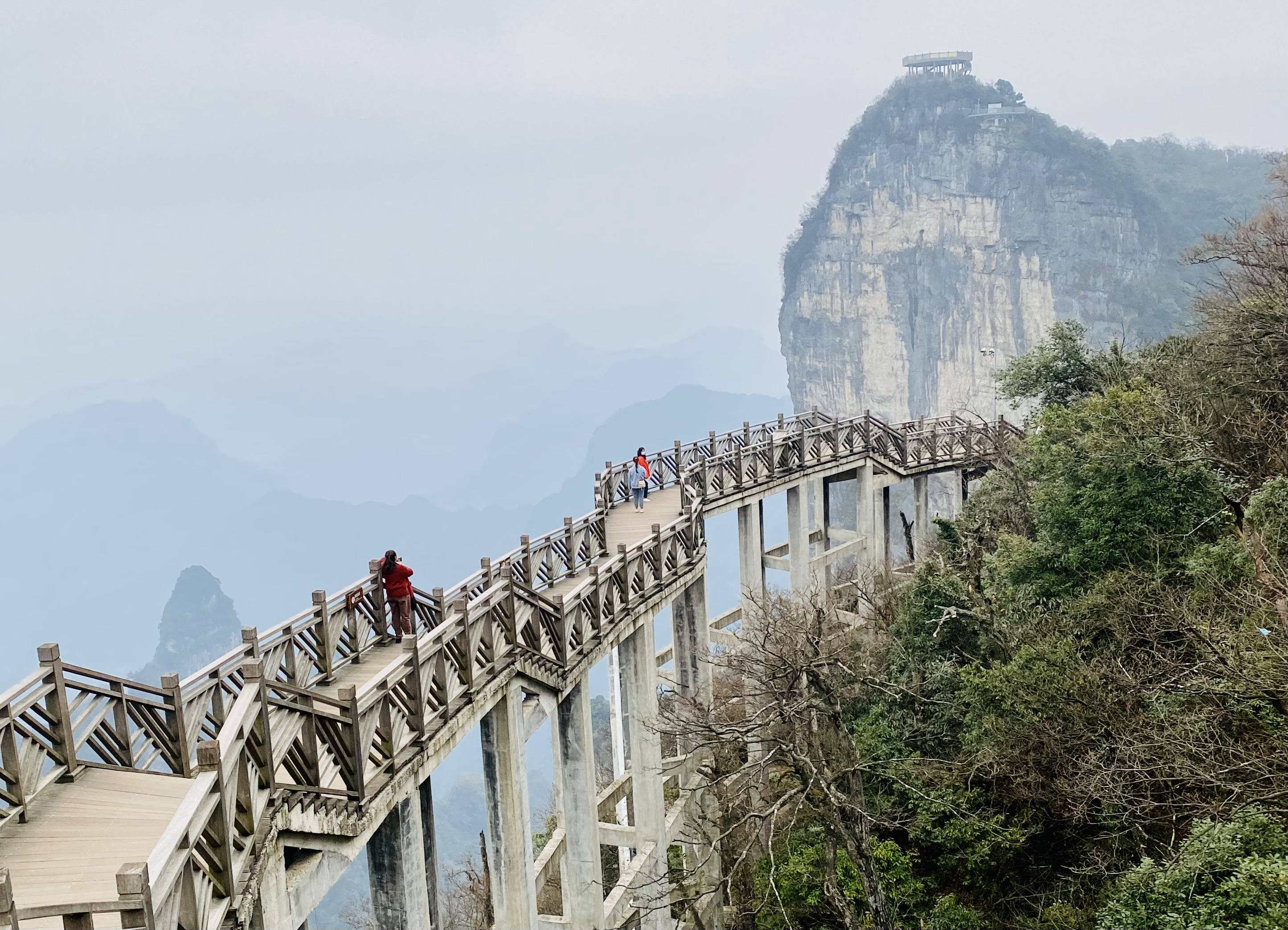 暑假去张家界旅游报团怎么样,张家界旅游团推荐,看这一篇就够了