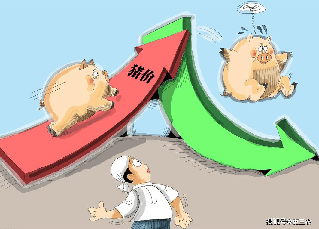 原创4月10日玉米小麦扎堆下跌猪价滑坡下跌发生了啥