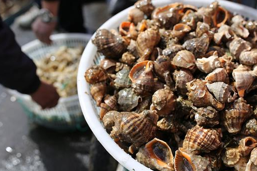 原创春暖花开海捕升温青岛渔港海鲜俏