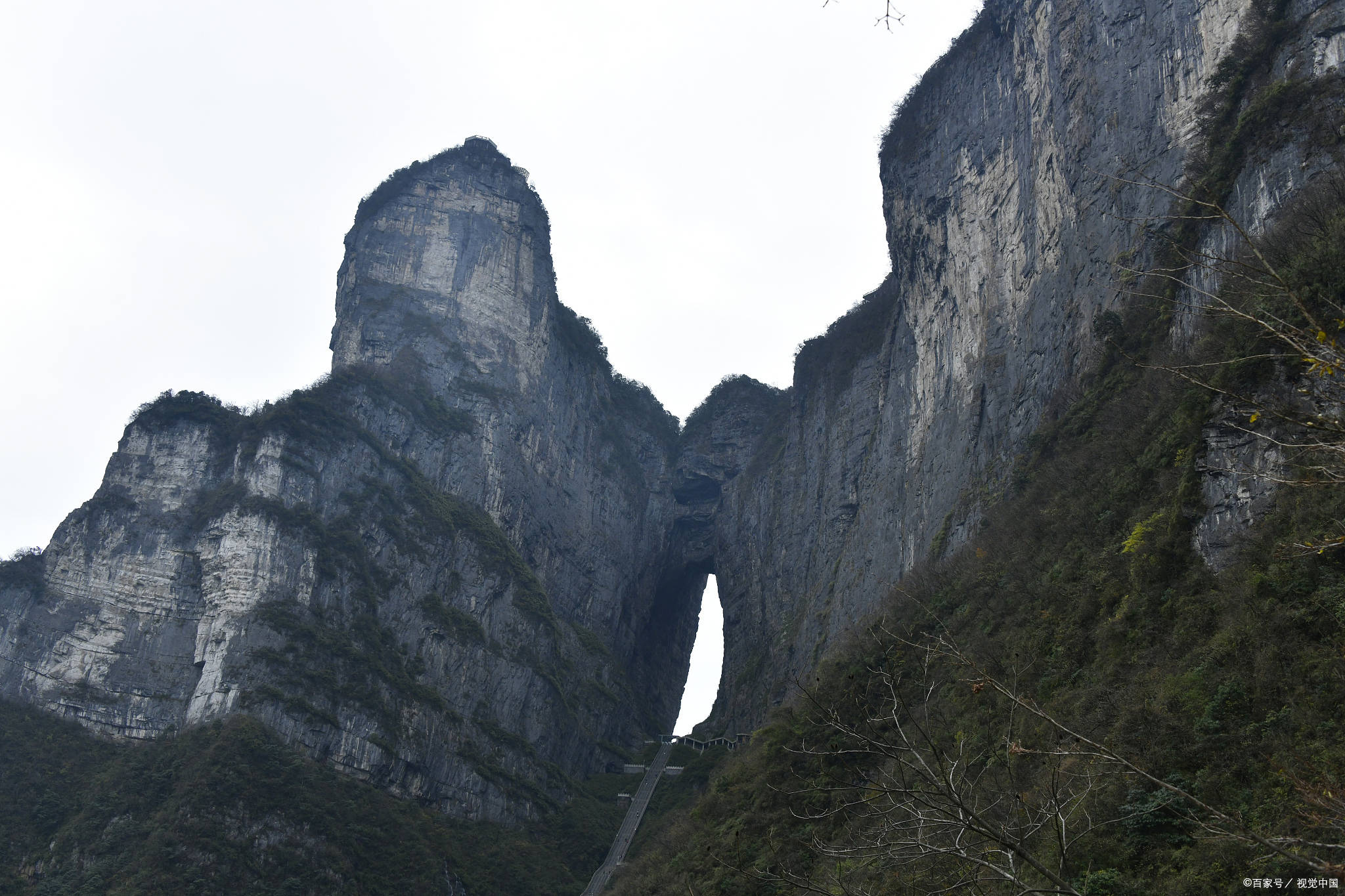 张家界天门山一日游报团需要多少钱当地导游怎么联系