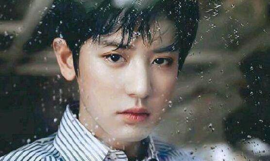 exo成员中日韩人气排行,和你想象中的一样吗_吴世勋_边伯贤_朴灿烈