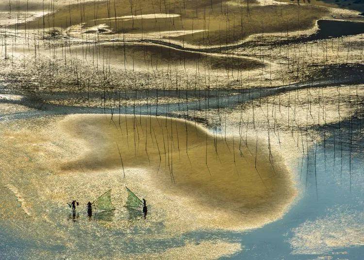 逆光下拍摄这片滩涂时,镜头中那一条条从沙滩上流淌过的溪水,化作蜿蜒