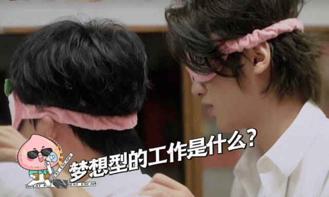 原创大张伟想开炸鸡店邓伦想当考古学家而杨幂的却让人最意外