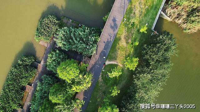 原创广州天河地铁直达湿地公园山地及水塘改造踏青好地方无门票