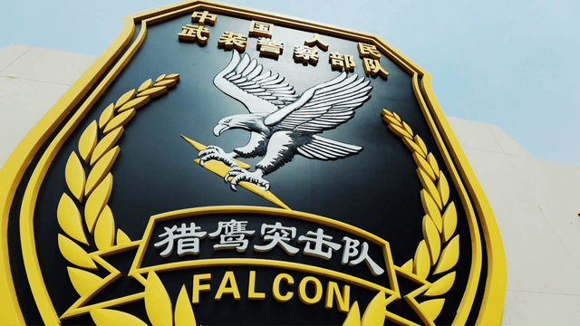 中国武警猎鹰突击队的臂章,以猎鹰为特征形象.