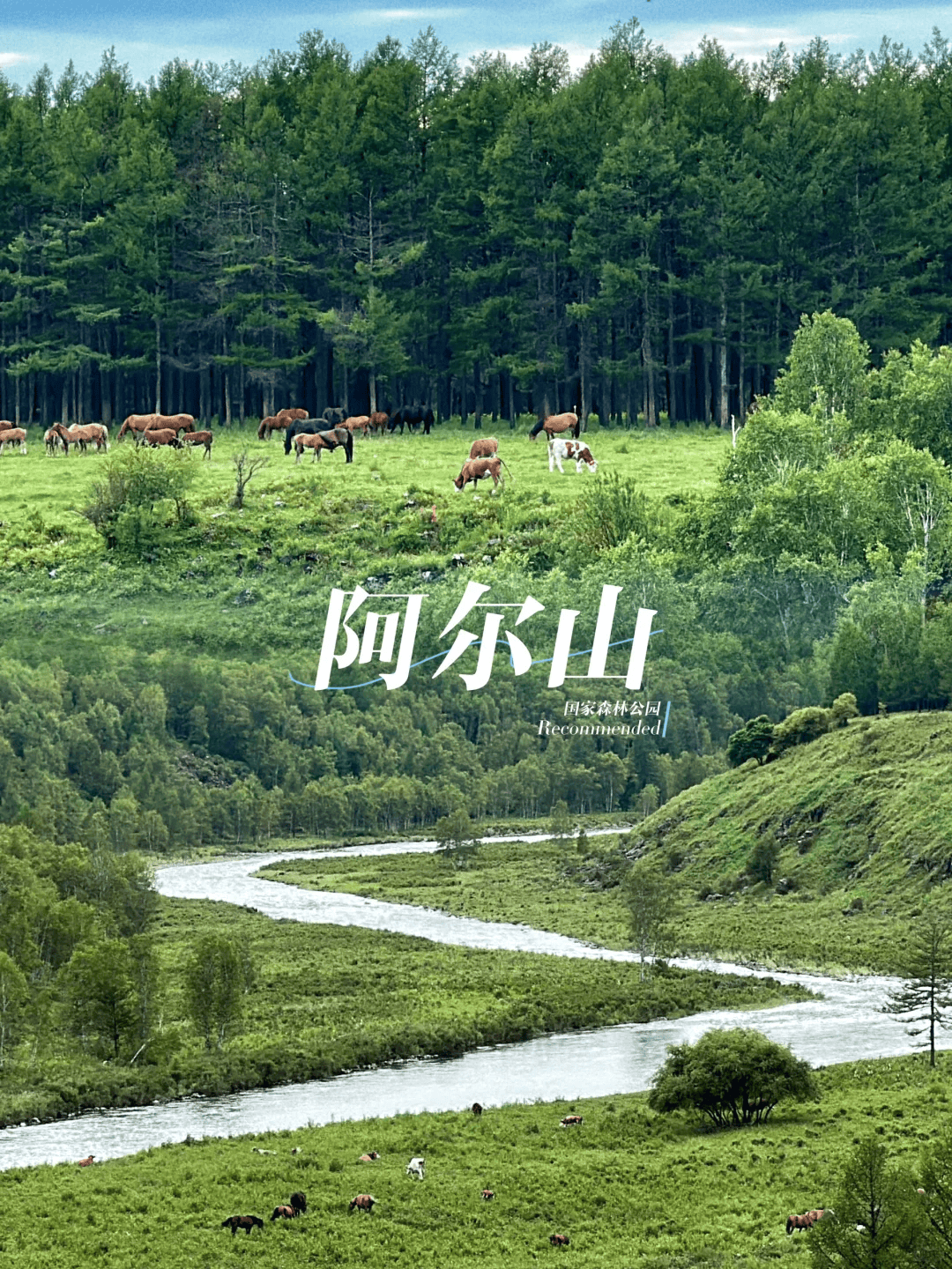 去内蒙呼和浩特旅游5天当地导游费用,请导游多少钱_咨询_景点_蒙古包