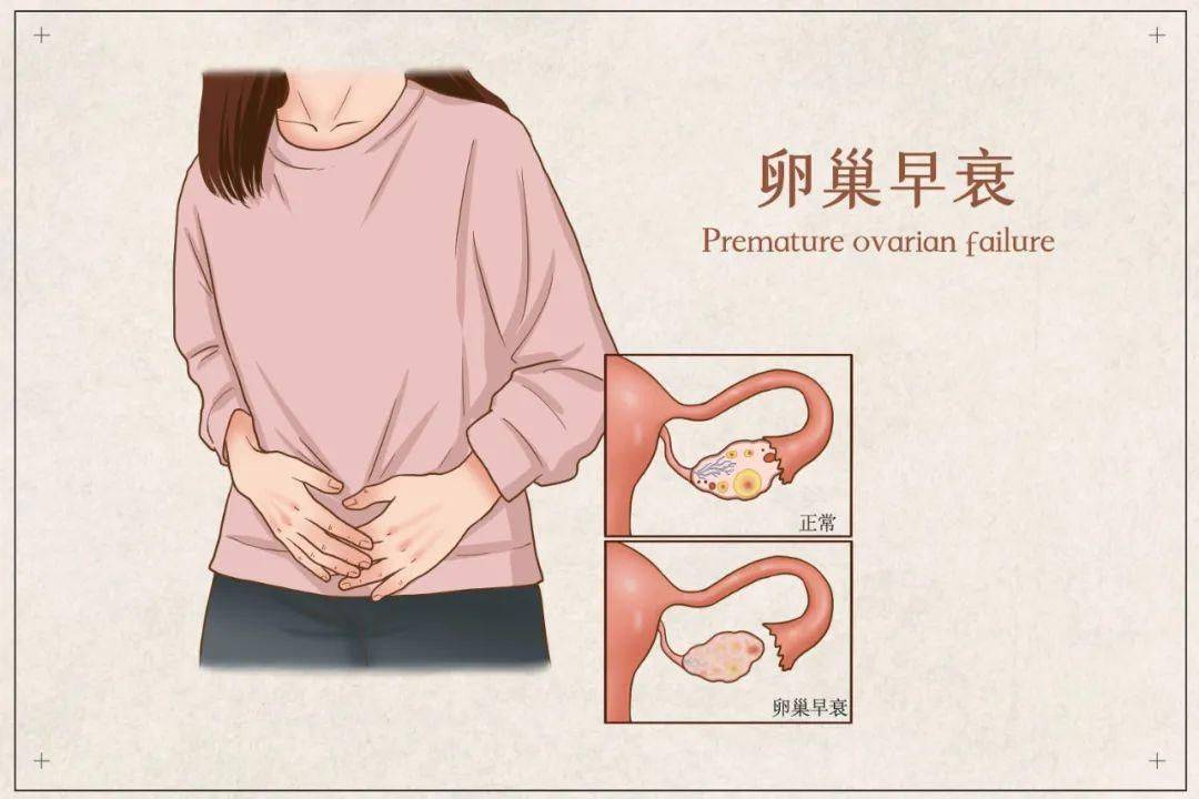 三分治七分养谷医堂谷方益元分享女性如何避免卵巢未老先衰