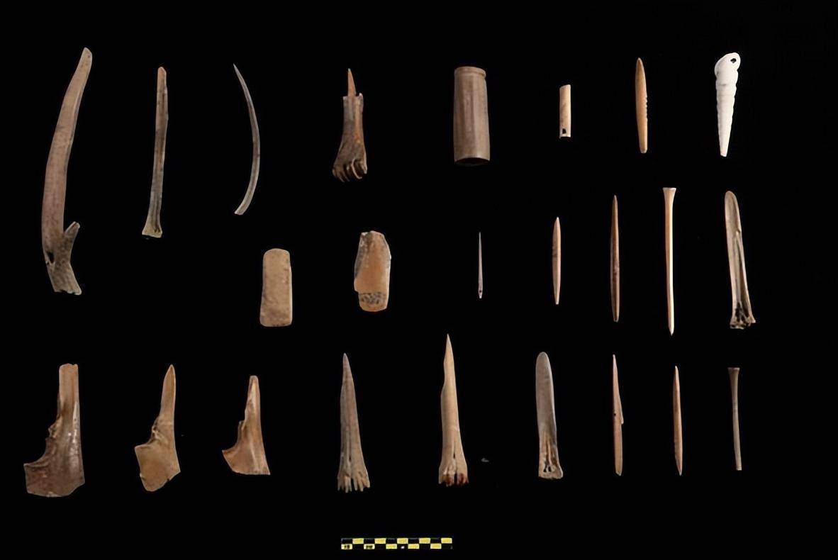 原创鹅下蛋不如鸡长肉不如鸭为何从古到今中国农民都喜欢养鹅