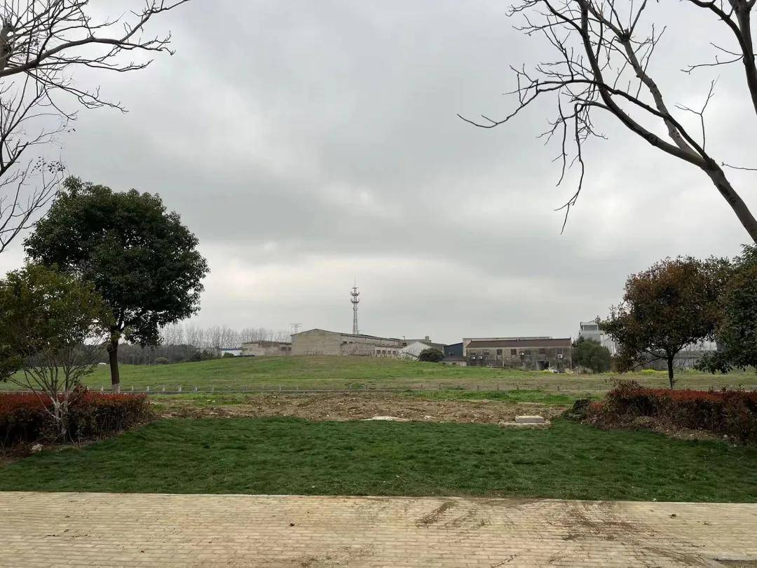 不负春光焕新颜苏州市吴中区郭巷街道推进环境综合整治工作