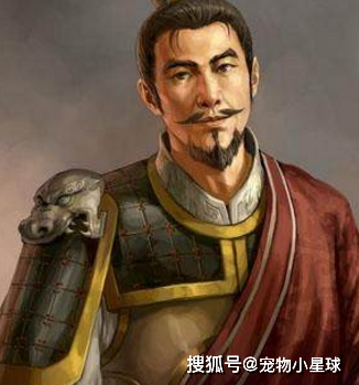 以弱胜强,打败了曹操,这在很大程度上归功于鲁肃和诸葛亮的精心谋划