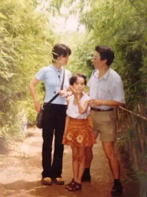 童谣李沁金晨为何能霸占荧屏她们靠什么演上的女一号