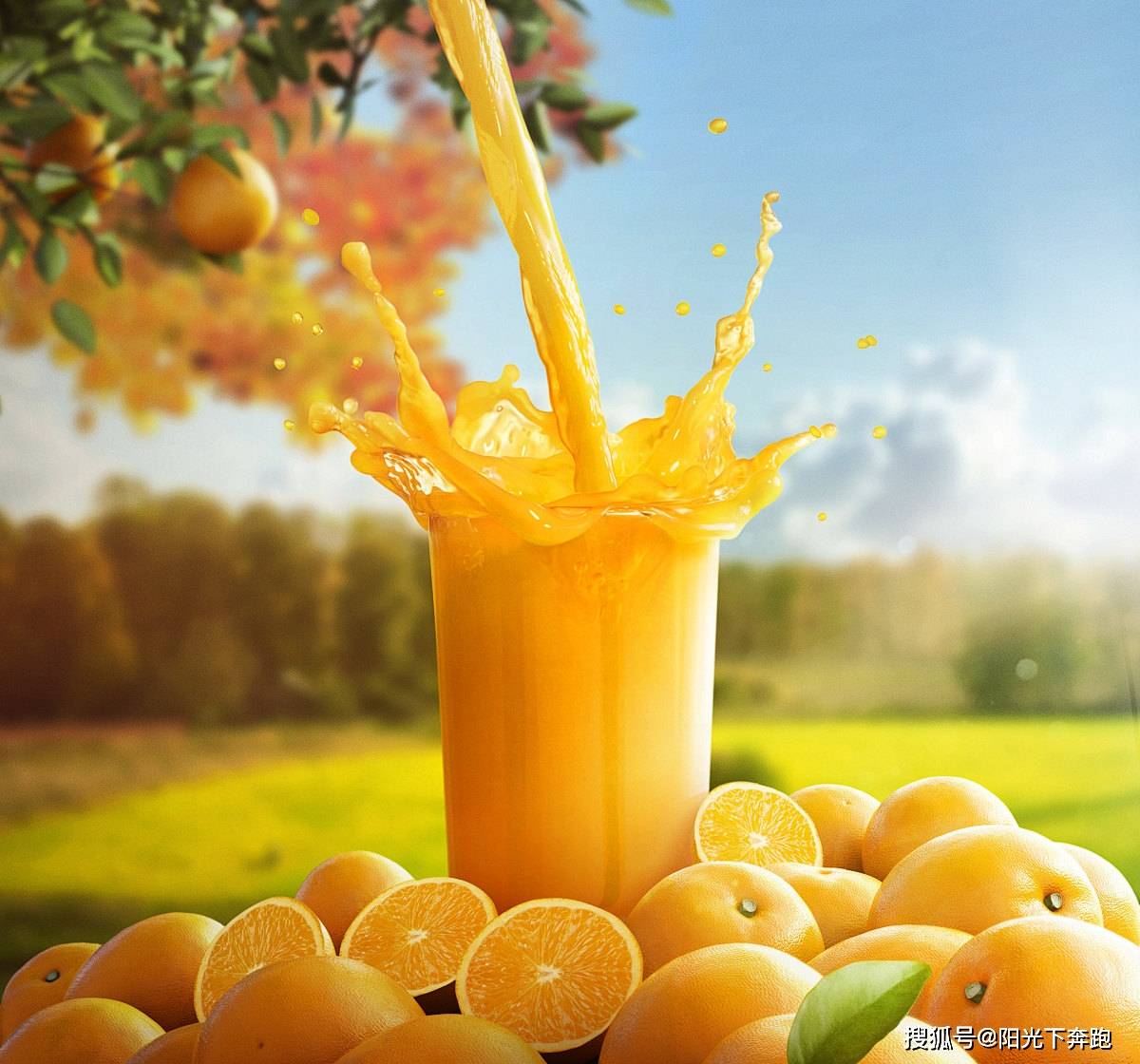 橙子不仅好吃还好用!