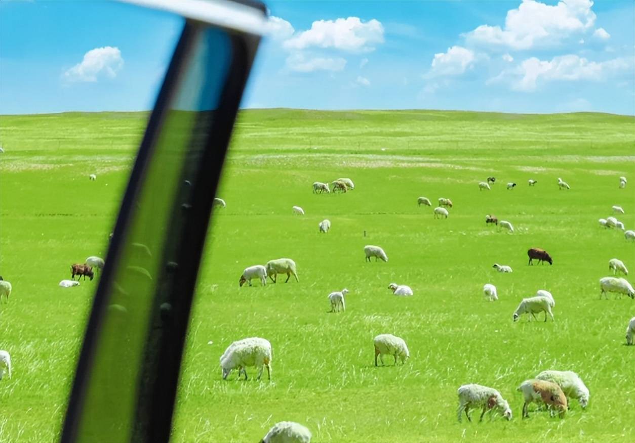 内蒙古5日深度攻略分享,有什么不懂的直接问就行_草原_丹丹_蒙古包