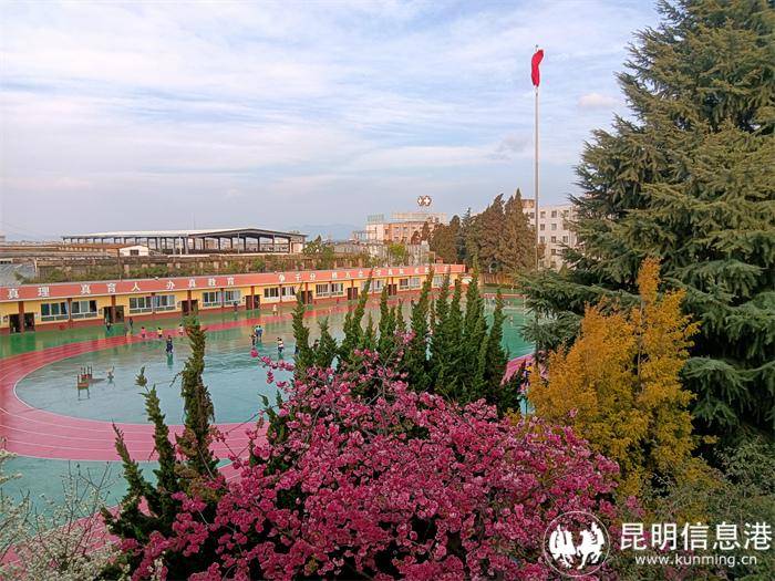 2024昆滇名初中呈贡区育才学校一所全寄宿封闭式的九年一贯制优质学校