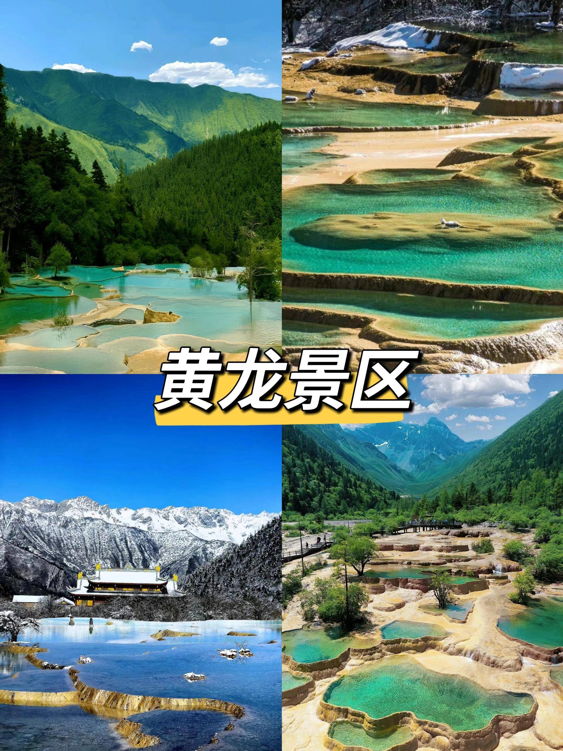 都江堰黄龙旅游5日游要多少钱?熊猫乐园五天四晚详细价格攻略
