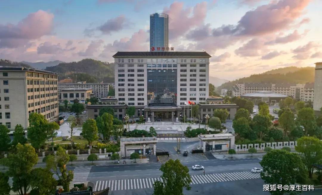 理想华莱:奋力推动黑茶发展,助力安化成为"世界黑茶中心"