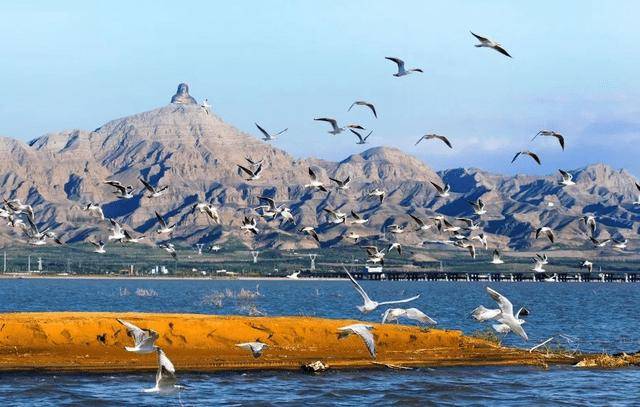 内蒙有什么好玩的地方旅游景点推荐内蒙古乌梁素海游玩攻略建议收藏