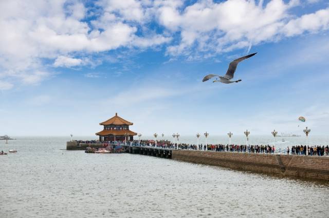 青岛五日游多少钱青岛5天4晚旅游跟团人均1580