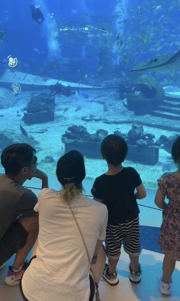 用餐休息时,撒贝宁儿子的正脸照也被网友曝光出来,尽管她有刻意打码