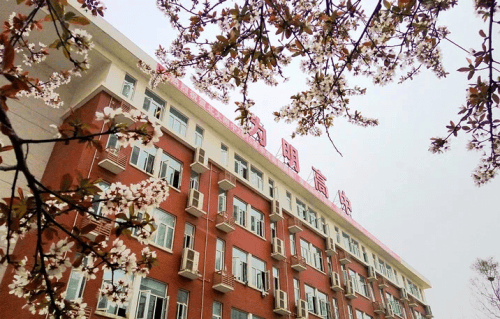 武汉为明学校高中部踔厉奋发实现学校高品质发展