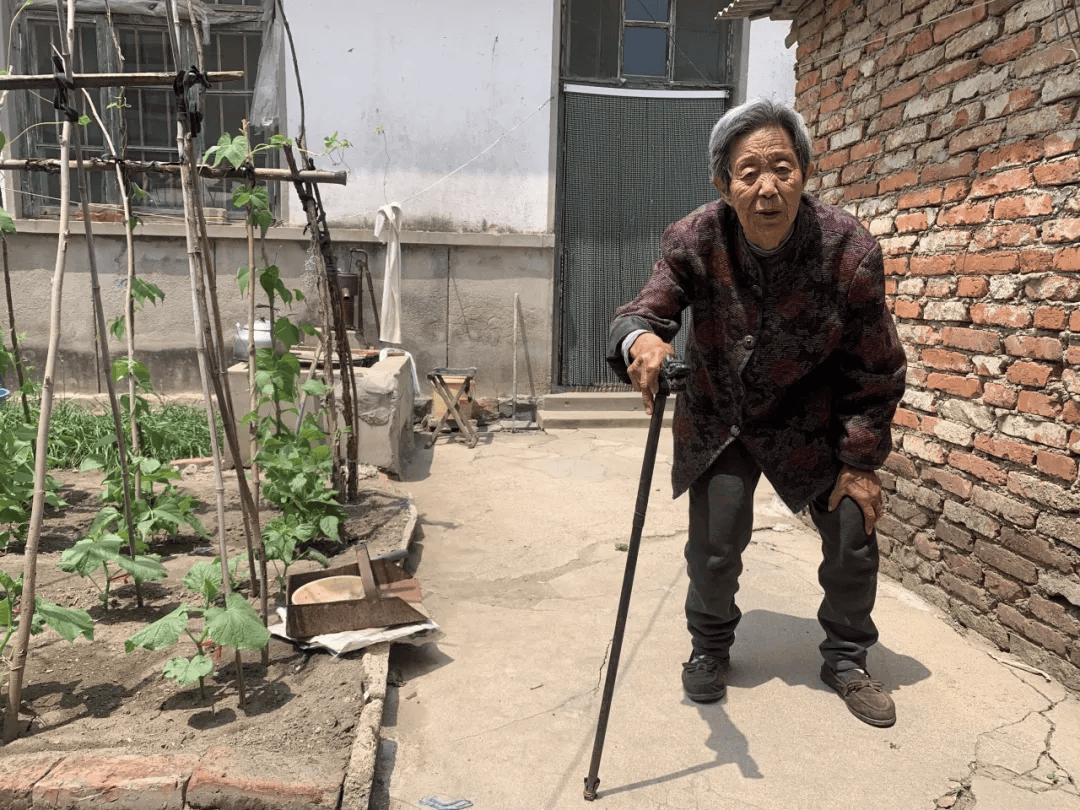 当爱与关怀交织