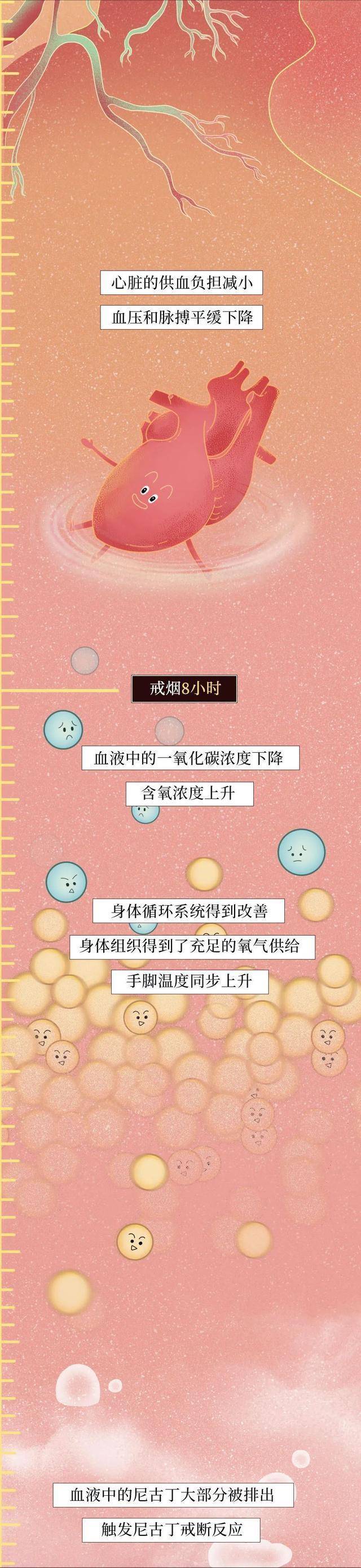 原创为什么一定要戒烟戒烟后人体变化图揭晓看完你或会动摇