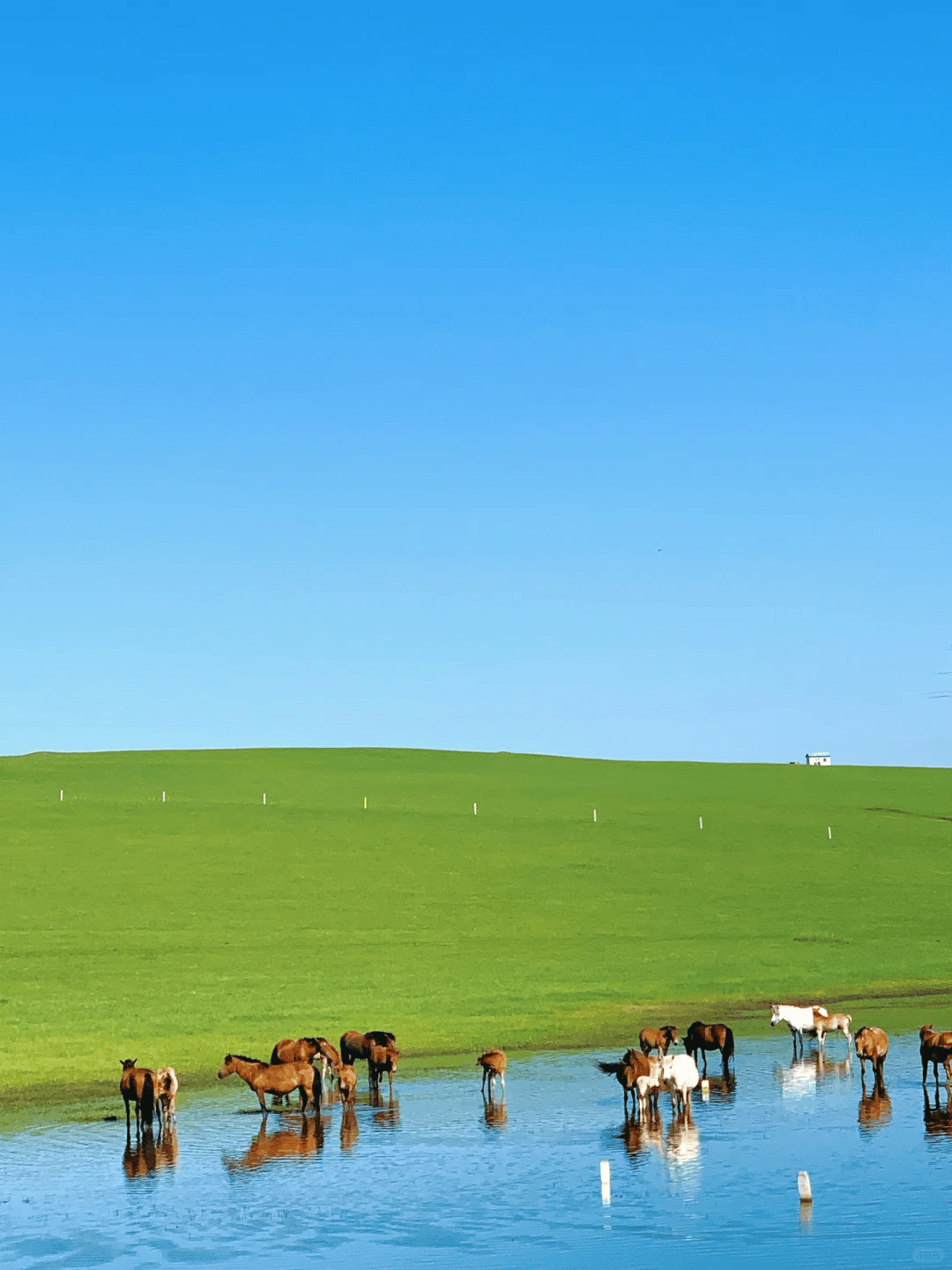 小林_住宿_呼和浩特