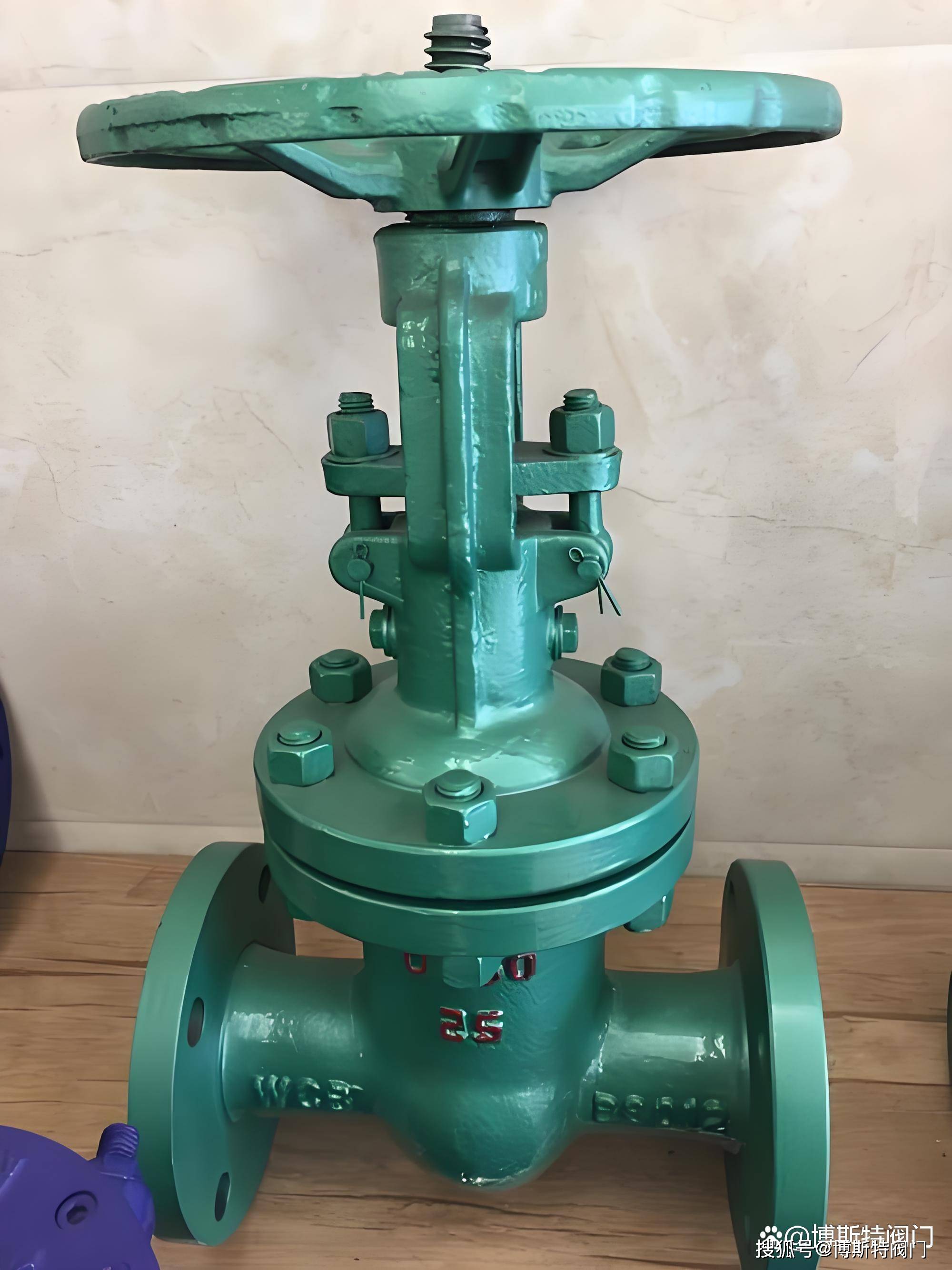 真空闸阀的介绍与知识,博斯特_阀门_密封_维护保养