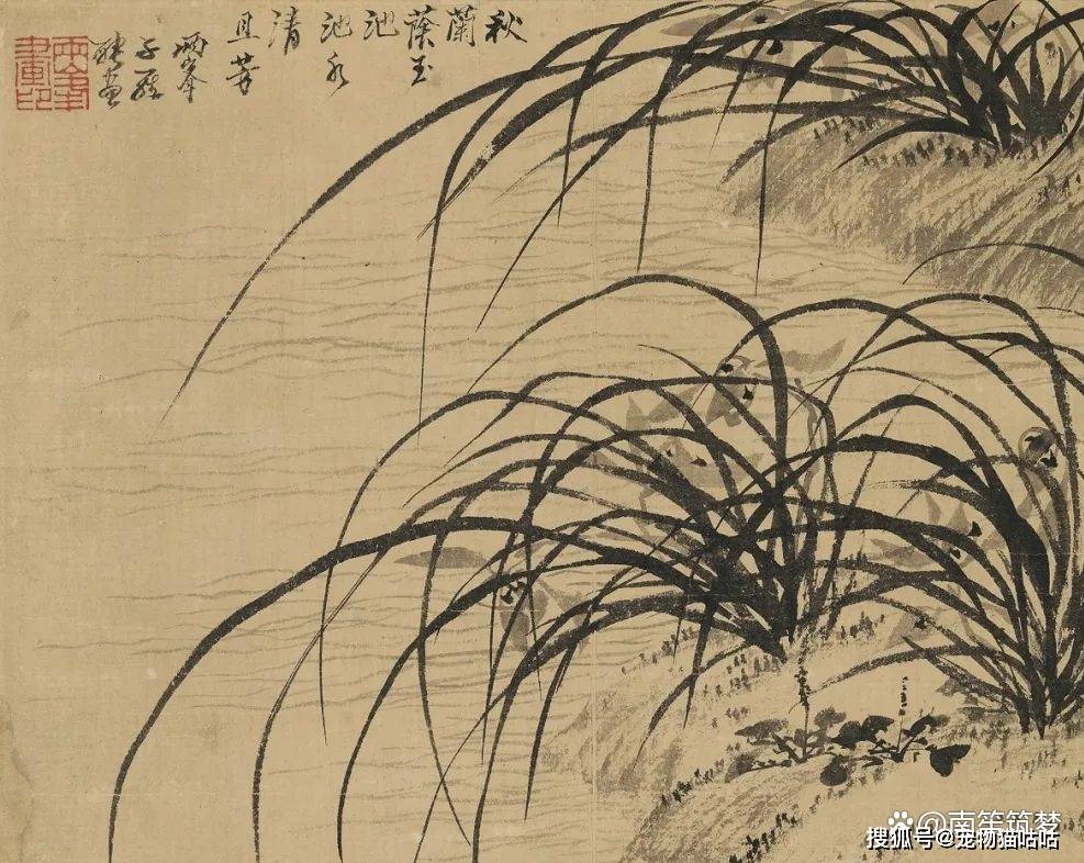 拍卖征集:清代各家论画"兰"_孔子_兰花_君子