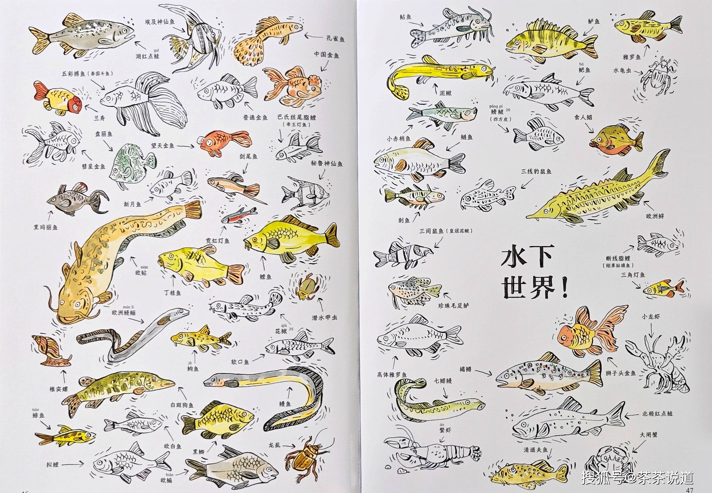 最好看的科普启蒙书:从认识周围的一切开始