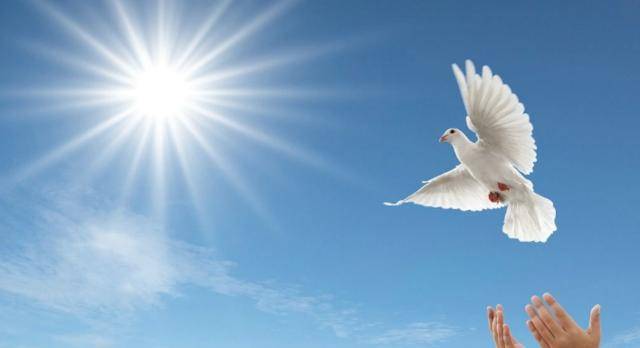 解读:阅兵式上放飞的几万只"和平鸽"和"气球"最后飞到哪了?_进行_时候