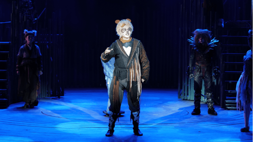 五位熊猫主角——成双公主,川仔,圆嘟嘟,风车车,赞花花,同时还有其它