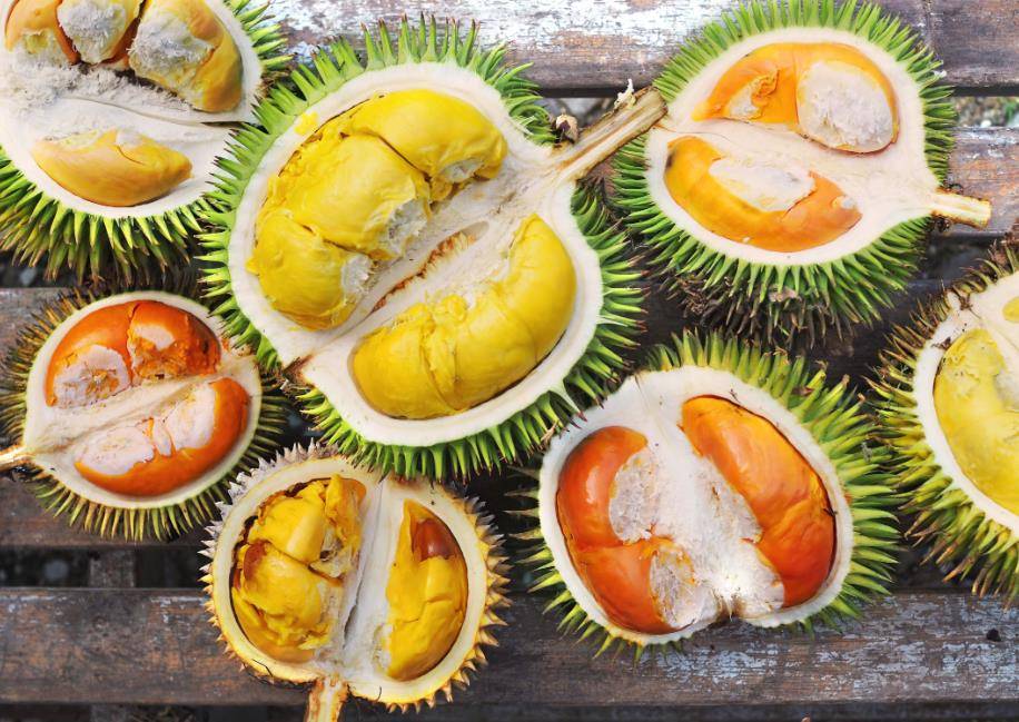 榴莲真的是水果之王吗揭开一段榴莲在欧洲的炒作史