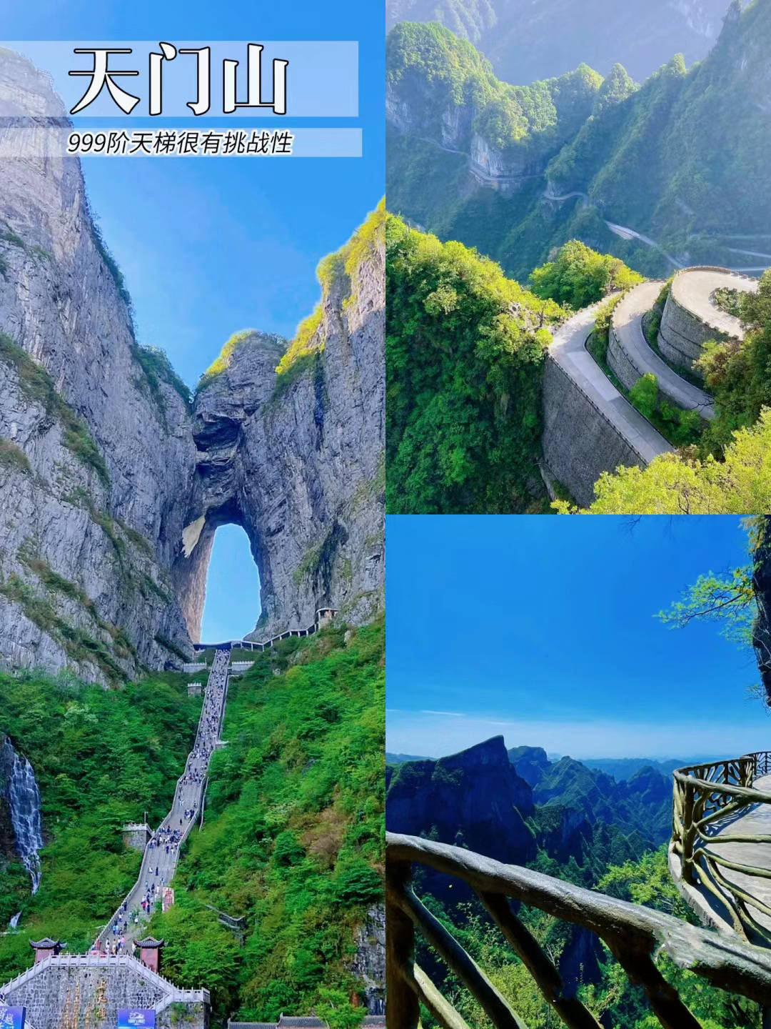 张家界天门山凤凰古城老年团五日游攻略张家界旅游跟老年团大概多少钱