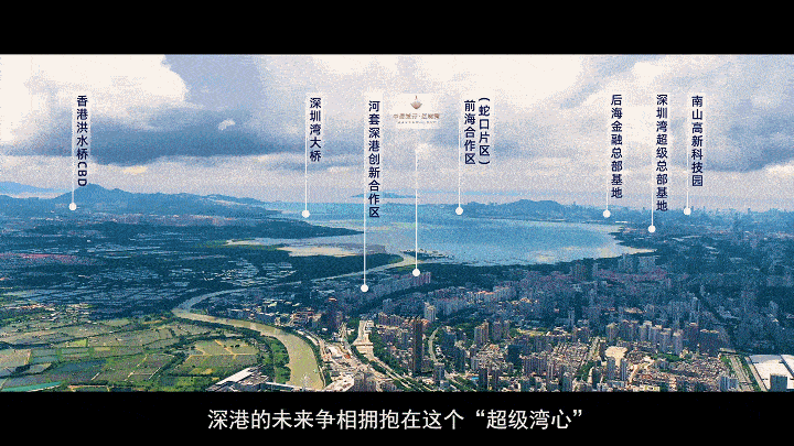 中信城开红树湾深圳福田中信城开红树湾最新房价户型售楼处