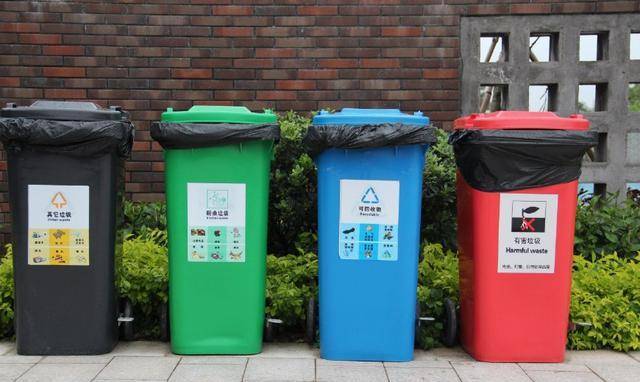 这些分类垃圾桶,到了晚上,会被一个叫"垃圾车"的货车一车拉走,并未