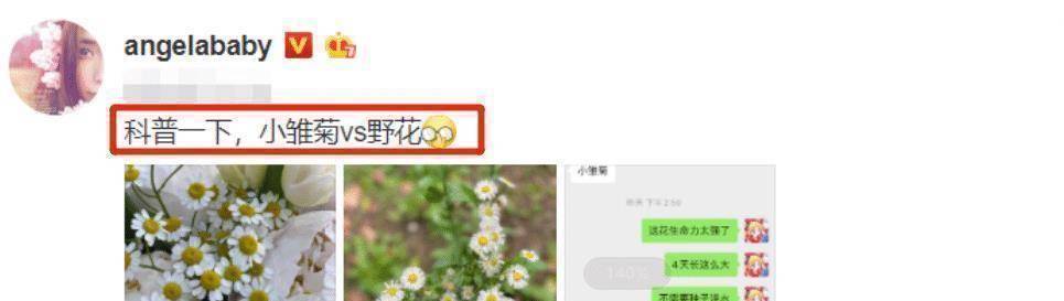 她用一个动漫美少女作为自己的头像,而美少女还和一个男孩子聊天