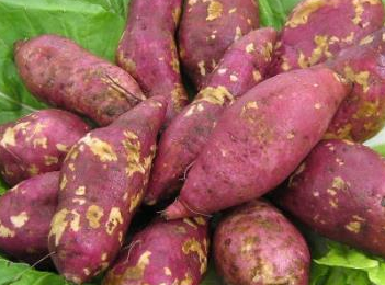 原创红薯的功效与作用虽好但你要是出现了这种反应还是要及时就医